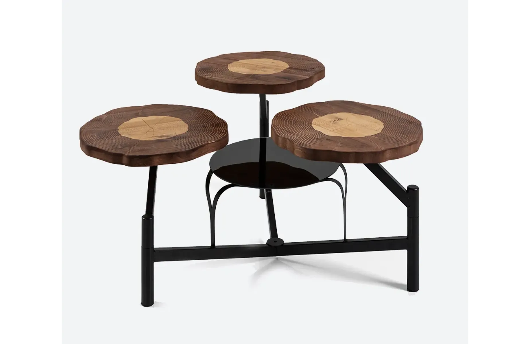 OCTOPUS WALNUT ORTA SEHPA 