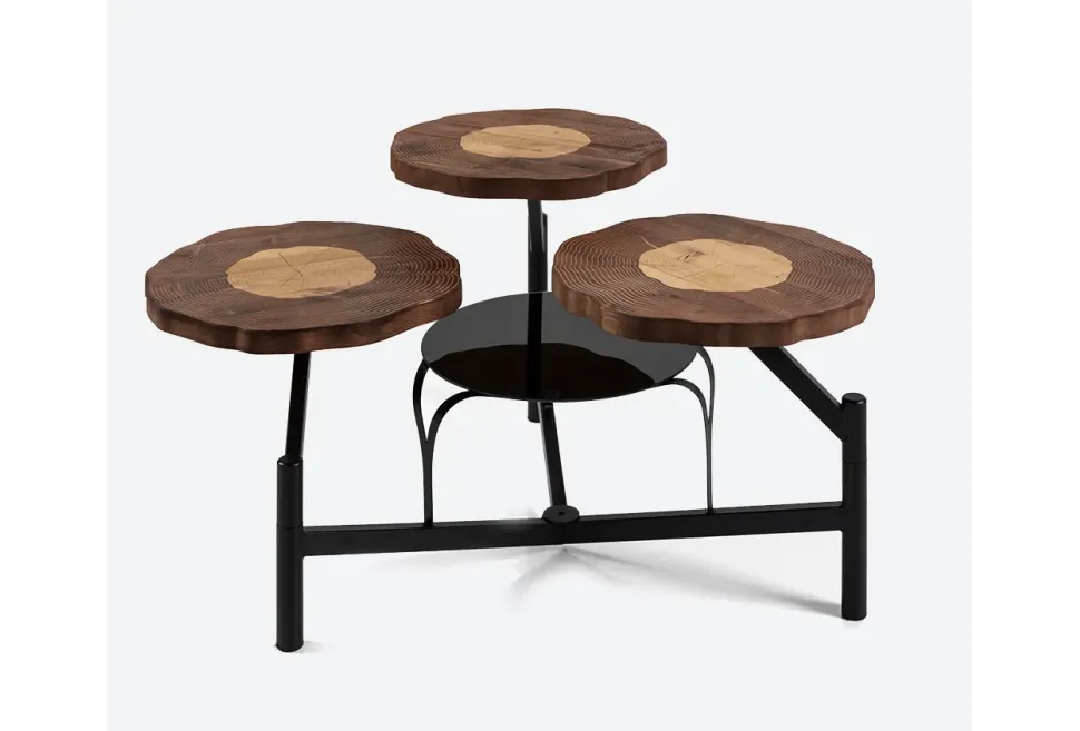 OCTOPUS WALNUT ORTA SEHPA 